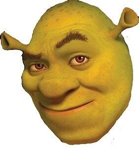 shrek smirk|shrek smirk face.